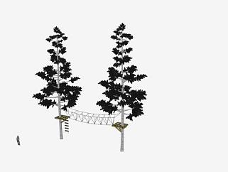 两珠乔木植物<em>黑松</em>SU模型下载_sketchup草图大师SKP模型