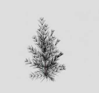 稀疏的松树SU模型下载_sketchup草图大师SKP模型