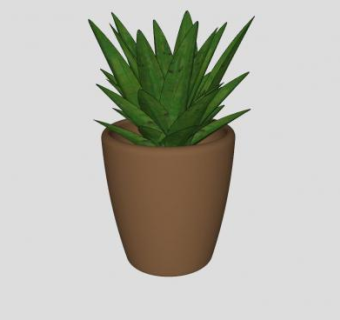 观赏植物菠萝叶SU模型下载_sketchup草图大师SKP模型