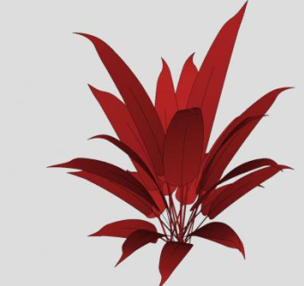 凤梨科植物SU模型下载_sketchup草图大师SKP模型