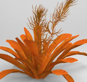 光萼荷属植物SU模型下载_sketchup草图大师SKP模型