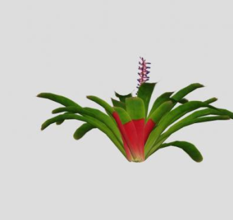 凤梨科观赏植物SU模型下载_sketchup草图大师SKP模型