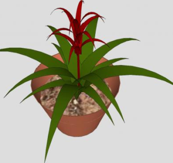 盆栽凤梨科植物SU模型下载_sketchup草图大师SKP模型