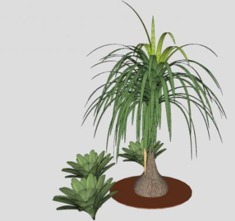 庭院观赏植物SU模型下载_sketchup草图大师SKP模型