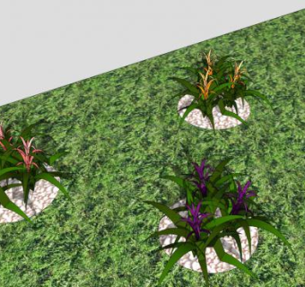 彩色凤梨花观赏植物SU模型下载_sketchup草图大师SKP模型