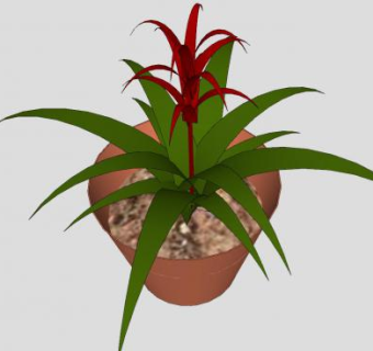 凤梨科植物盆栽SU模型下载_sketchup草图大师SKP模型