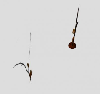 树上乌鸦和树下狐狸SU模型下载_sketchup草图大师SKP模型