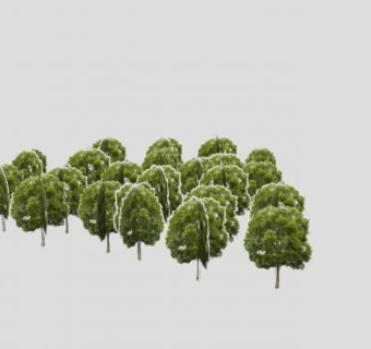 郊外树群植物SU模型下载_sketchup草图大师SKP模型