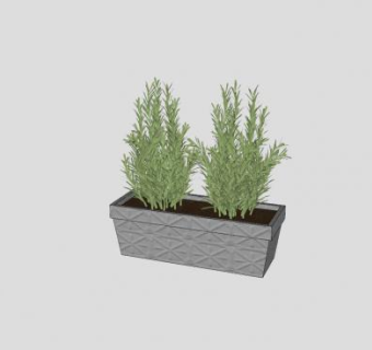 菊科植物龙蒿SU模型下载_sketchup草图大师SKP模型