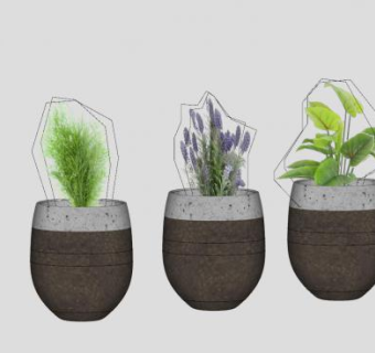 小型药草种植盆栽SU模型下载_sketchup草图大师SKP模型