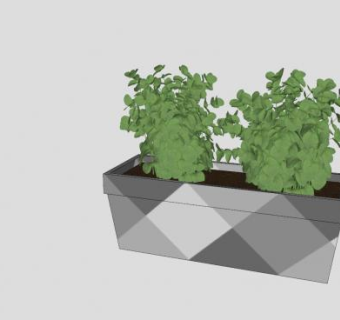 盆栽草本植物SU模型下载_sketchup草图大师SKP模型