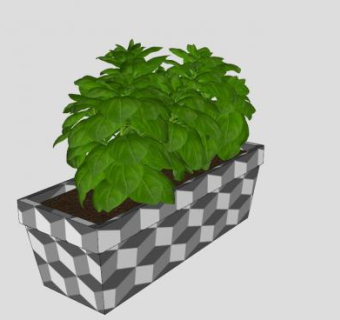 罗勒香草种植盆栽SU模型下载_sketchup草图大师SKP模型