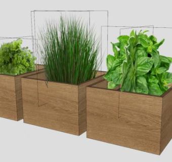 木盆栽植物SU模型下载_sketchup草图大师SKP模型