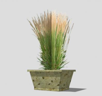 盆栽草药草本植物SU模型下载_sketchup草图大师SKP模型