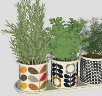 园艺盆栽草本植物SU模型下载_sketchup草图大师SKP模型