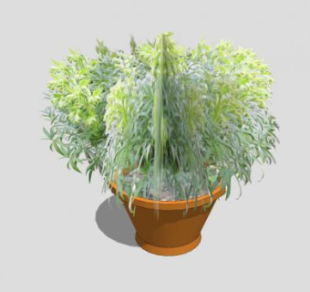 种植盆栽植物SU模型下载_sketchup草图大师SKP模型