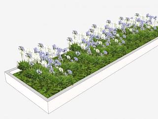 小花园花圃植物SU模型下载_sketchup草图大师SKP模型