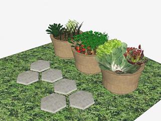 花园盆栽果蔬植物SU模型下载_sketchup草图大师SKP模型