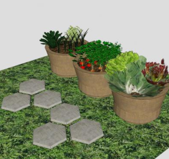 花园盆栽果蔬植物SU模型下载_sketchup草图大师SKP模型