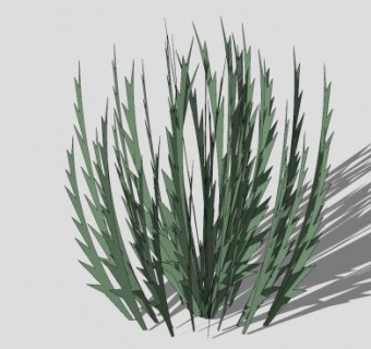 唇形科植物迷迭香SU模型下载_sketchup草图大师SKP模型