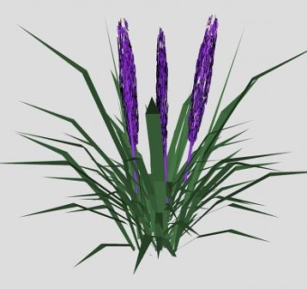 草本植物麦冬SU模型下载_sketchup草图大师SKP模型