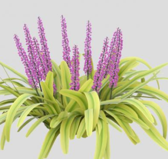 多年生草本植物SU模型下载_sketchup草图大师SKP模型