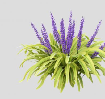 观花观草植物SU模型下载_sketchup草图大师SKP模型