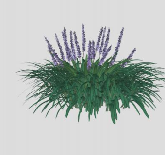 多年生观花植物SU模型下载_sketchup草图大师SKP模型