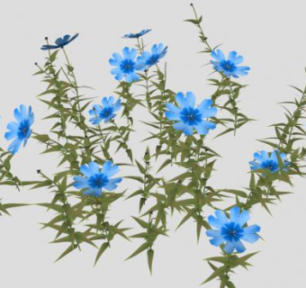 蓝色花荵科草本植物SU模型下载_sketchup草图大师SKP模型