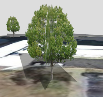 常绿乔木塔树SU模型下载_sketchup草图大师SKP模型