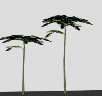 被子植物塔树SU模型下载_sketchup草图大师SKP模型
