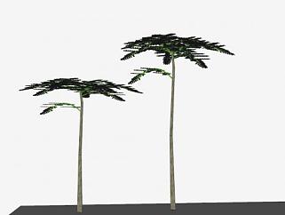 被子植物<em>塔</em>树SU模型下载_sketchup草图大师SKP模型