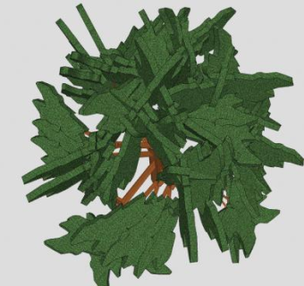 绿叶植物乔木SU模型下载_sketchup草图大师SKP模型
