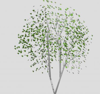 落叶乔木白桦树SU模型下载_sketchup草图大师SKP模型