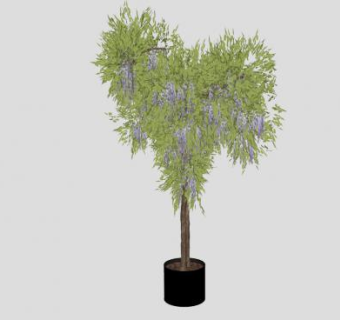 双树干紫藤树SU模型下载_sketchup草图大师SKP模型