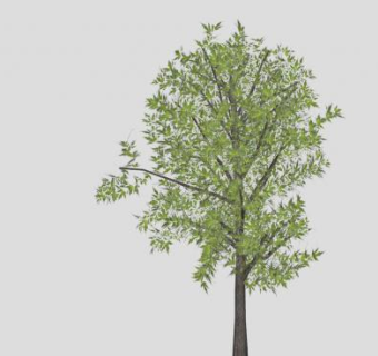 人造日本枫木SU模型下载_sketchup草图大师SKP模型