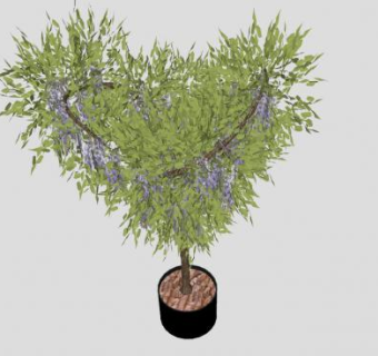 藤本植物紫藤树SU模型下载_sketchup草图大师SKP模型