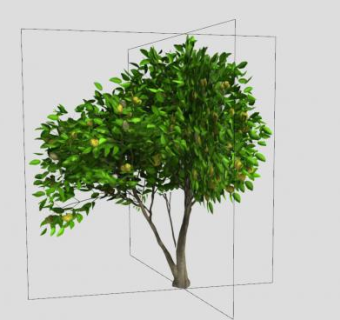 海滨木巴戟植物SU模型下载_sketchup草图大师SKP模型