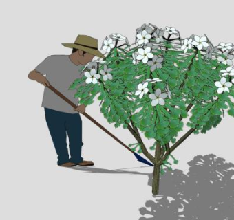 农夫种植鸡蛋花树SU模型下载_sketchup草图大师SKP模型