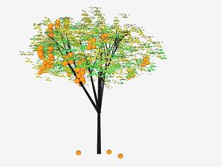 <em>柑橘</em>类果树植物SU模型下载_sketchup草图大师SKP模型