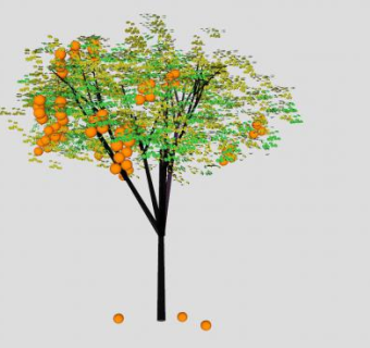 柑橘类果树植物SU模型下载_sketchup草图大师SKP模型