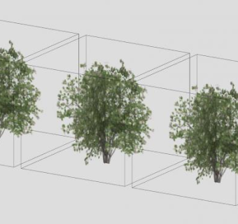 灌木植物山梅花SU模型下载_sketchup草图大师SKP模型