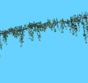 攀登紫藤葡萄树SU模型下载_sketchup草图大师SKP模型
