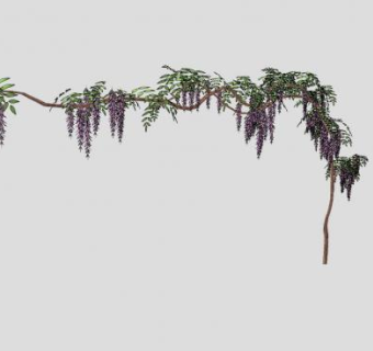 攀爬紫藤葡萄树SU模型下载_sketchup草图大师SKP模型