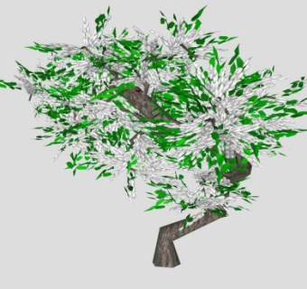 白色紫藤树植物SU模型下载_sketchup草图大师SKP模型