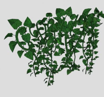 花园绿叶植物藤蔓SU模型下载_sketchup草图大师SKP模型