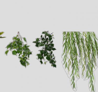 藤蔓藤条植物SU模型下载_sketchup草图大师SKP模型