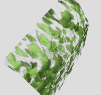 悬藤藤本植物SU模型下载_sketchup草图大师SKP模型