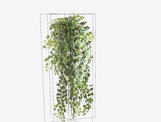 挂着藤蔓植物SU模型下载_sketchup草图大师SKP模型