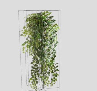 挂着藤蔓植物SU模型下载_sketchup草图大师SKP模型